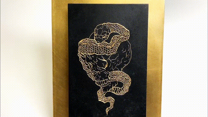 WABORI ART PANEL  Skull